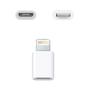 Imagem de Adaptador Conversor V8 Micro Usb Para Iphone Ligthning