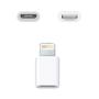 Imagem de Adaptador de Carregador V8 Android para iPhone Lightning - Micro USB V8 para Lightning