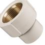 Imagem de Adaptador Mais Therm Rf 22Mm X 3/4 - Kit C/10 Unidades