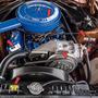 Imagem de Adesivo Compatível Maverick V8 Motor Etiquetas Advertência