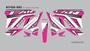Imagem de Adesivo Kit Personalizado Rosa Com Branco Cg 160 Fan Ano 20