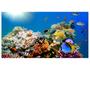 Imagem de Adesivo Peixes Aquário Decoração Oceano Fundo Do Mar S270