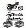 Imagem de Adesivos Moto Suzuki Intruder 125 Cromado 2002/ Alto Relevo