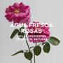Imagem de Adolfo Dominguez Água Fresca de Rosas EDT Perfume Feminino 120ml