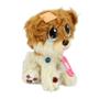 Imagem de Adota Pets Lulu Cachorrinho Com Acessorios Multikids Br1066