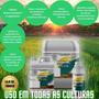 Imagem de Adubo Fertilizante 3 lt Npk Plus Titanium Grãos produção top