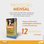 Imagem de Advocate Elanco Antipulgas para Cachorro 4 à 10kg Kit com 3