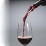 Imagem de Aerador Vinho Bico Anti-Gotejamento Adega Sommelier Vermelho