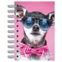 Imagem de Agenda Diária 2025 Esp 100X150Mm My Dog Chihuahua Kit