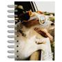 Imagem de Agenda Diária 2025 Esp 100X150Mm My Dog Jack Russell Kit