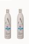 Imagem de Agilise Kit Daily Wash Shampoo E Reconstrutor 500 Ml