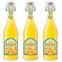 Imagem de Água Com Gás Aromatizada Effervé Tangerina 750Ml (3 Und)