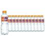 Imagem de Água Mineral Minalba Com Gás 310ml Kit 12