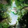 Imagem de Água Mineral Natural Com Gás Pedras Salgadas 250Ml (6 Und)