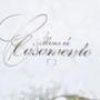 Imagem de Álbum 60 Fotos 15X21 Casamento Rec 114/01