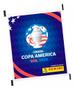 Imagem de Álbum Copa América 2024 Box Premium Prata Capa Dura + 30 Env