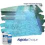 Imagem de Algicida Choque E Manutenção Elimina Água Verde e Algas da Piscina 5 Litros