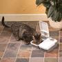 Imagem de Alimentador Automático Eatwell para Cães e Gatos, programação de 2 Refeições - Branco Cinza - Amicus