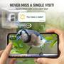 Imagem de Alimentador Inteligente de Pássaros Nature Anywhere Nest-Flix XL com Câmera