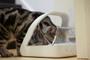Imagem de Alimentador Microchip SureFeed para Animais de Estimação - Sure Petcare