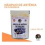 Imagem de Alimento Peixes Yepist Slin Nauplio Artemia Em Conserva 10G