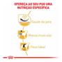 Imagem de Alimento Royal Canin Breed Health Nutrition Pug Para Cão Adulto De Raça Pequena Sabor Mix Em Sacola De 2.5kg