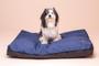 Imagem de Almofada Para Cachorro Mabuu Pet - Nylon Azul - P