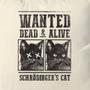 Imagem de Almofada Schrödinger's Cat Studio Geek