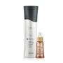 Amend Expertise Special Care Desamarelador Sh 250ml + Millenar Oil Monói 60ml Imagem de Amend Expertise Special Care Desamarelador Sh 250ml + Millenar Oil Monói 60ml