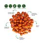 Imagem de Amendoim Runner 100% Natural Cru Com Pele Sem Casca Kit 4 Sem Conservantes 100g