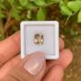 Imagem de Ametrino Cushion 1,73ct