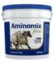 Imagem de Aminomix Forte 2,5kg Vetnil Suplemento p/ Animais