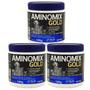 Imagem de Aminomix Gold 100g Vetnil Kit 3 Unidades Cães e Gatos