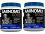 Imagem de Aminomix Gold 500g - Vetnil - 2 Unidades