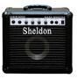 Imagem de Amplificador (Cubo) Sheldon Bss300 Para Baixo 30W