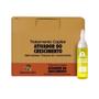 Imagem de Ampola De Vitamina Maxihair 10Ml Ativa Cresci - Kit C/24Un