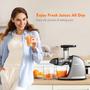 Imagem de AMZCHEF Juicer Masticating Pressão Fria 150W com Função Reversa (Cinza)