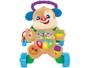 Imagem de Andador para Bebê de Empurrar Musical Fisher-Price Aprender e Brincar Cachorrinho FRC78