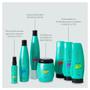 Imagem de Aneethun Cachos System Kit Shampoo Condicionador e Blend SOS Fluído Reconstrutor 210ml