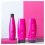 Imagem de Aneethun Color System Shampoo Brilho 300ml
