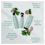Imagem de Aneethun Detox System Kit Bálsamo Multifuncional e Loção Ice Scalp 150ml