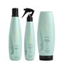 Imagem de Aneethun Detox System Kit Shampoo Refresh Bálsamo Multifuncional e Loção Ice Scalp 150ml