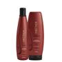 Imagem de Aneethun Force Shampoo 300ml + Máscara 250g