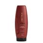 Imagem de Aneethun Force System Kit Shampoo e Máscara Fortalecedora 250g