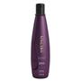Imagem de Aneethun Kit No Frizz System (Shampoo 300ml + Leave in Selante)