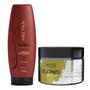 Imagem de Aneethun Máscara Force System 250g +Wess Blond Mask 200ml
