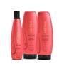 Imagem de Aneethun Restore System Kit- Restauração Capilar Shampoo 300ml + Máscara 250g + Finalizador 250g