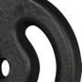Imagem de Anilha ferro fundido vazada pintado 1kg Academia Fitness Musculação - Cor preto