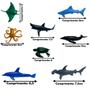 Imagem de Animais Fundo do Mar Marinhos Oceano Brinquedo infantil de borracha Coleção Kit com 10 peças 