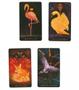 Imagem de Animal Tarot Deck Tarô Animal Baralho de Cartas de Oráculo